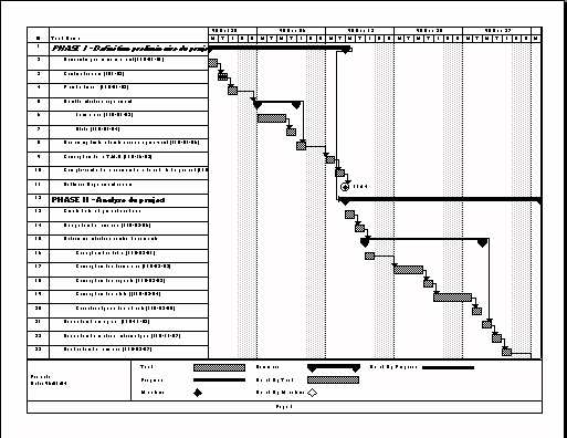 Exemple de microsoft project